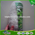 UV treated plant plastic trellis net /bop pea climbing net